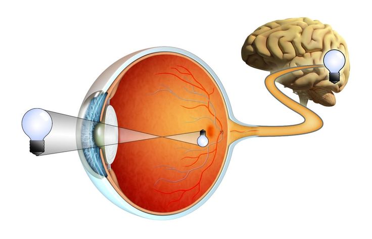 Retina Treatment